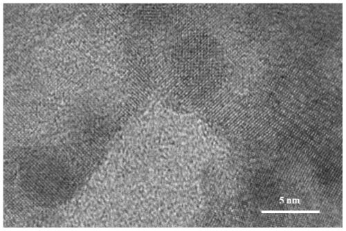 Bismuth-based self-supporting electrocatalyst, preparation method thereof and application of bismuth-based self-supporting electrocatalyst in nitrogen reduction ammonia production