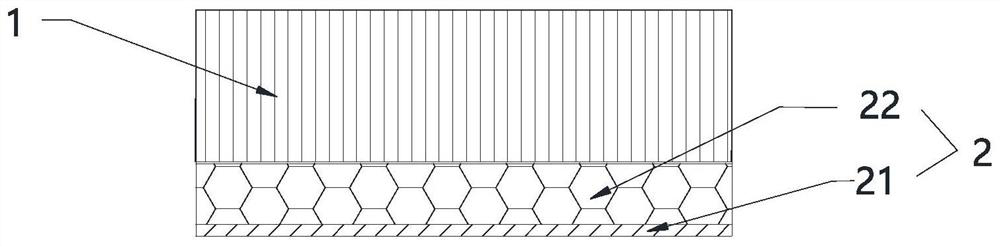 Atomizing core with directional micropores