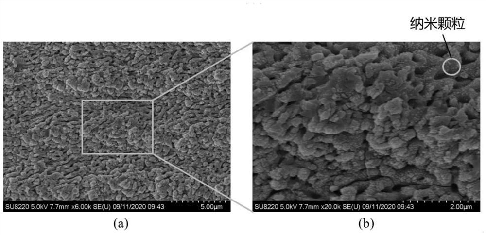 Compound eye structure prepared based on femtosecond laser and provided with super-smooth surface