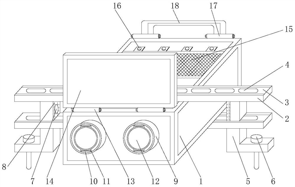 Laser sensor with fixing mechanism