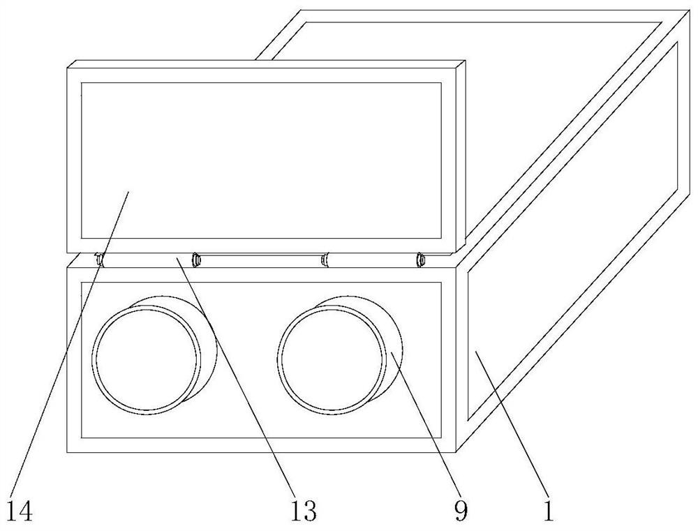 Laser sensor with fixing mechanism