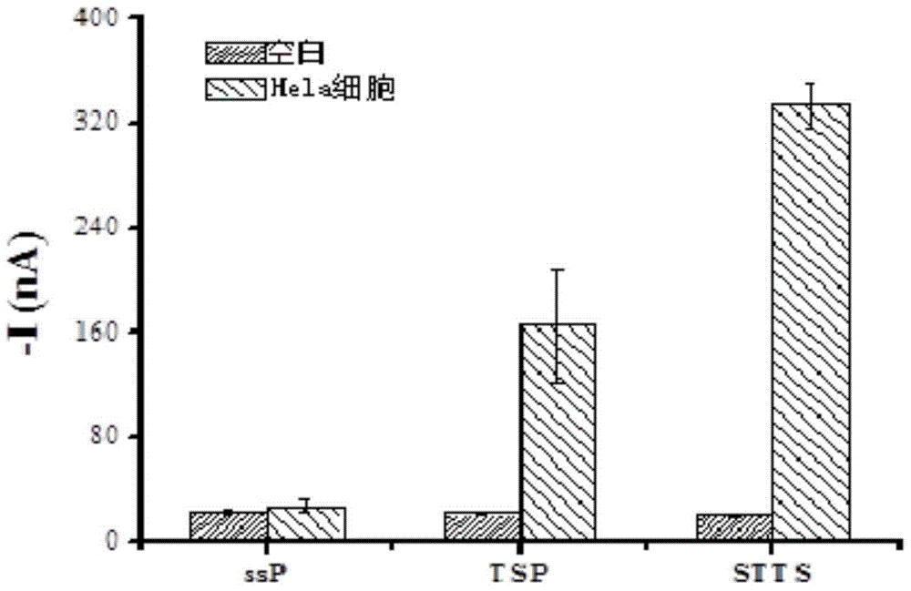 Spire Tetrahedral DNA Nanostructured Probe and Electrochemical Detection of Telomerase