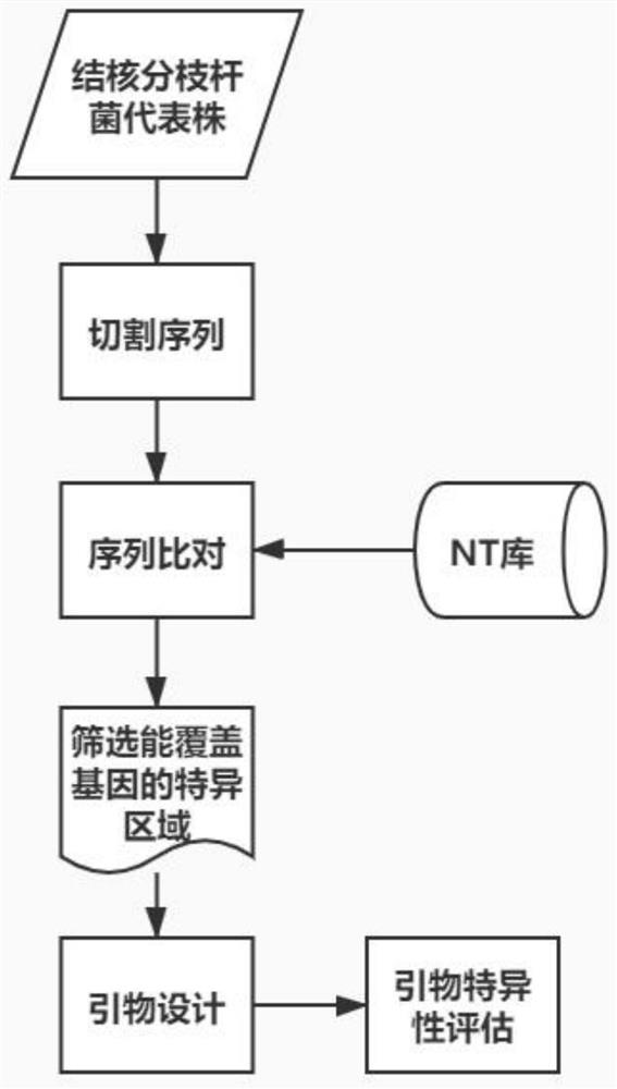 Mycobacterium tuberculosis multi-line drug resistance gene identification method and device