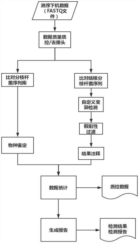 Mycobacterium tuberculosis multi-line drug resistance gene identification method and device