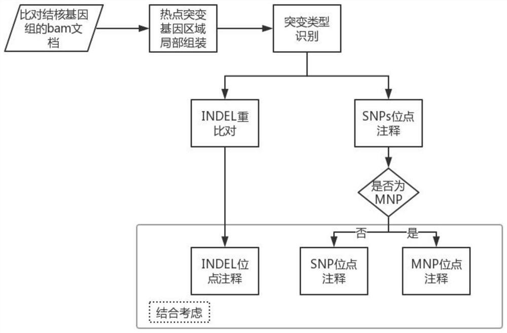 Mycobacterium tuberculosis multi-line drug resistance gene identification method and device