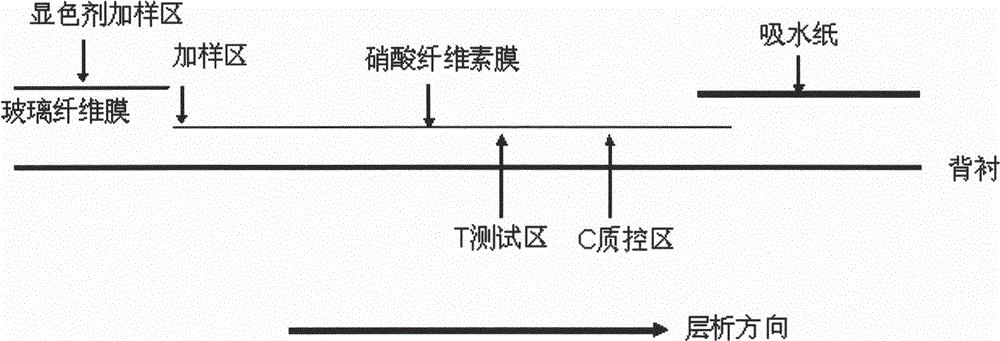 Immunochromatography assay and device taking color-developing agent as sample carrier and capable of repeated sample adding