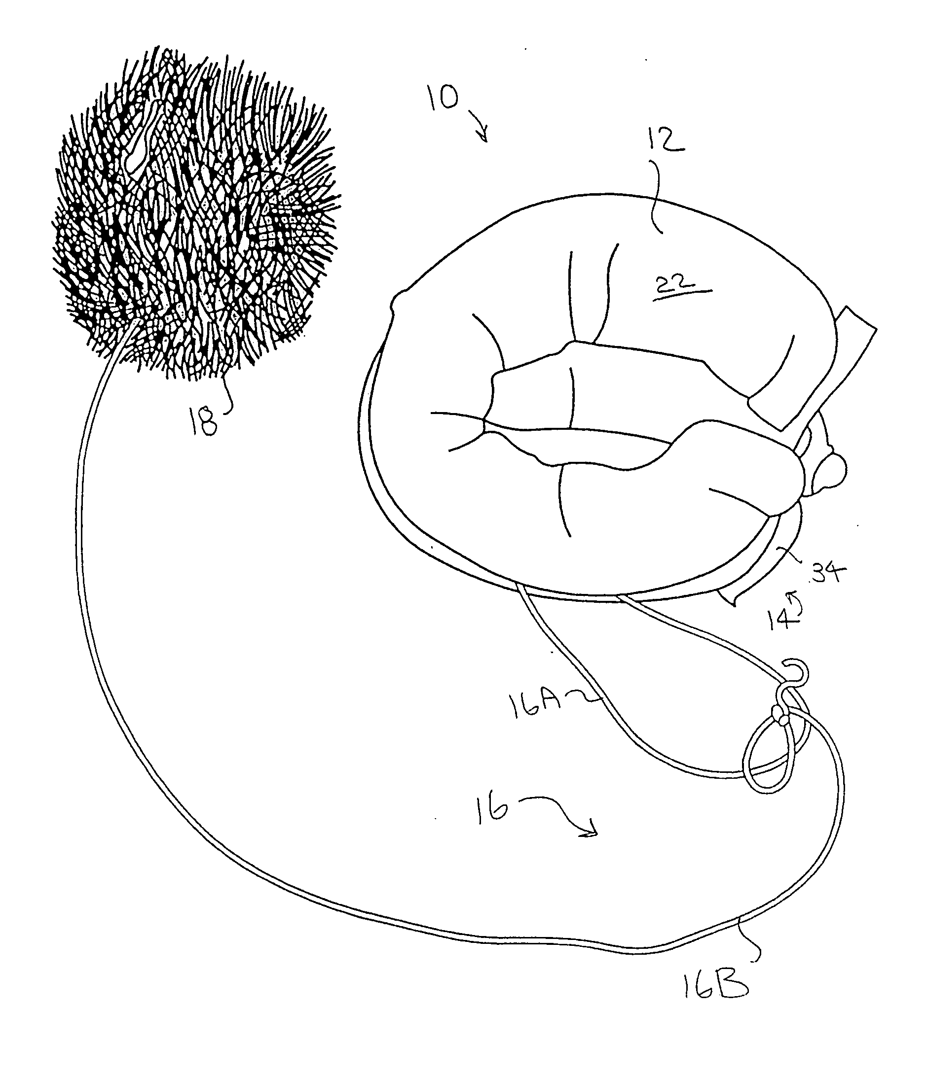 Animal exercise and amusement device