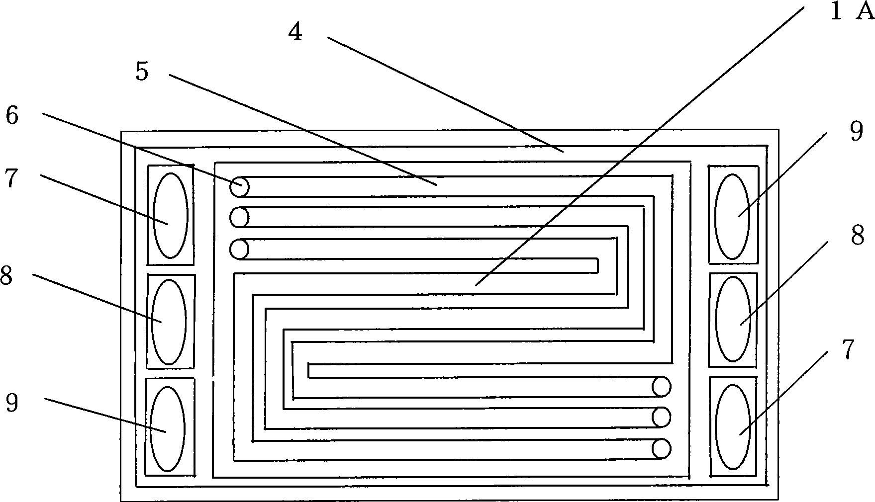 Dual-electrode plates of fuel cell