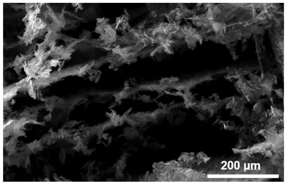 A kind of preparation method of hydrophilic three-dimensional graphene sponge