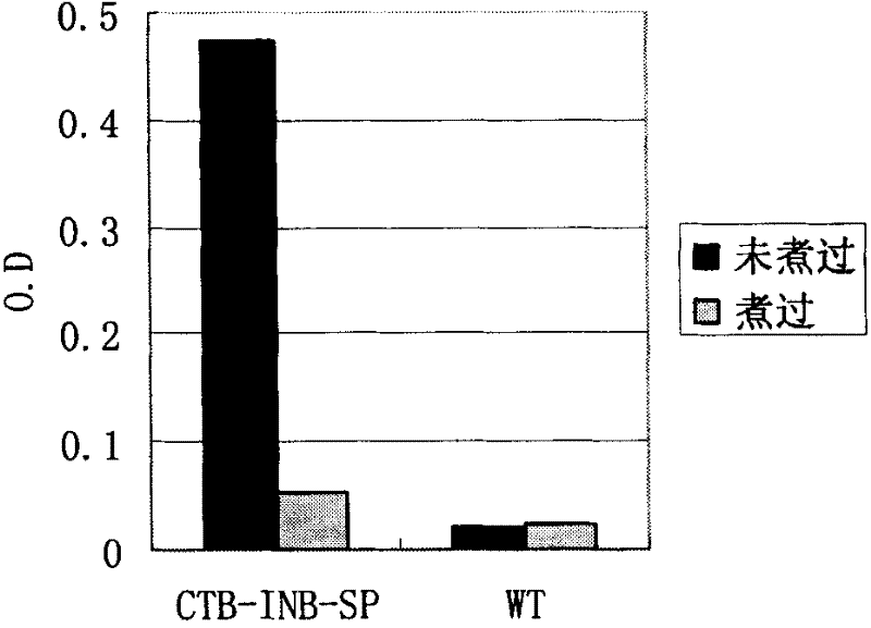 Anti-I type diabetes fuse protein and preparation thereof