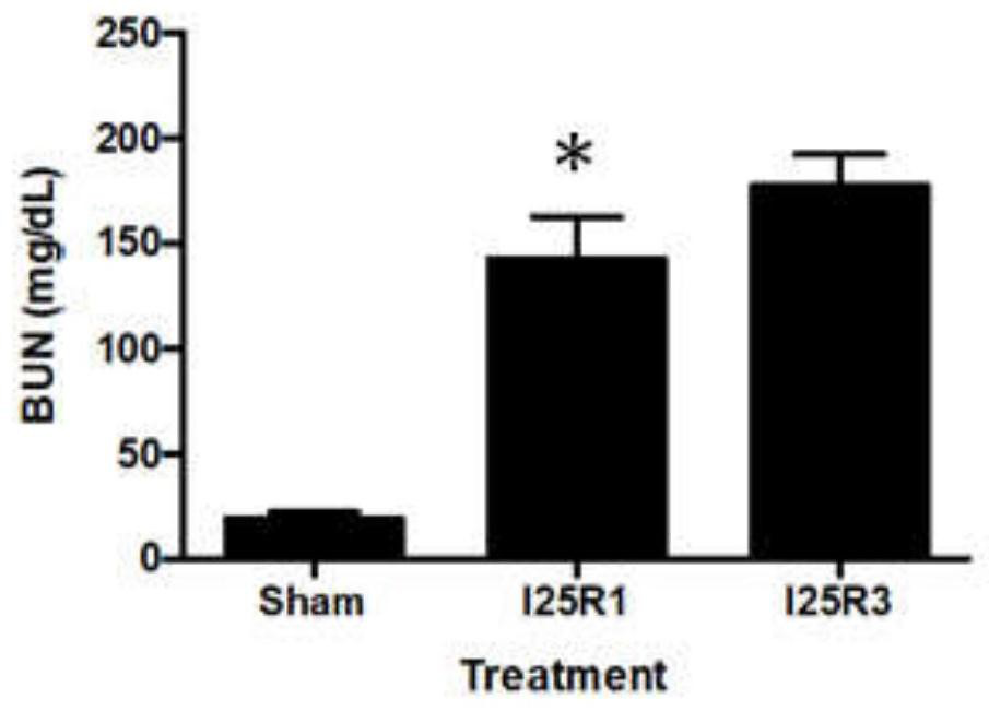 Application of cryab in the detection of acute kidney injury and its detection kit