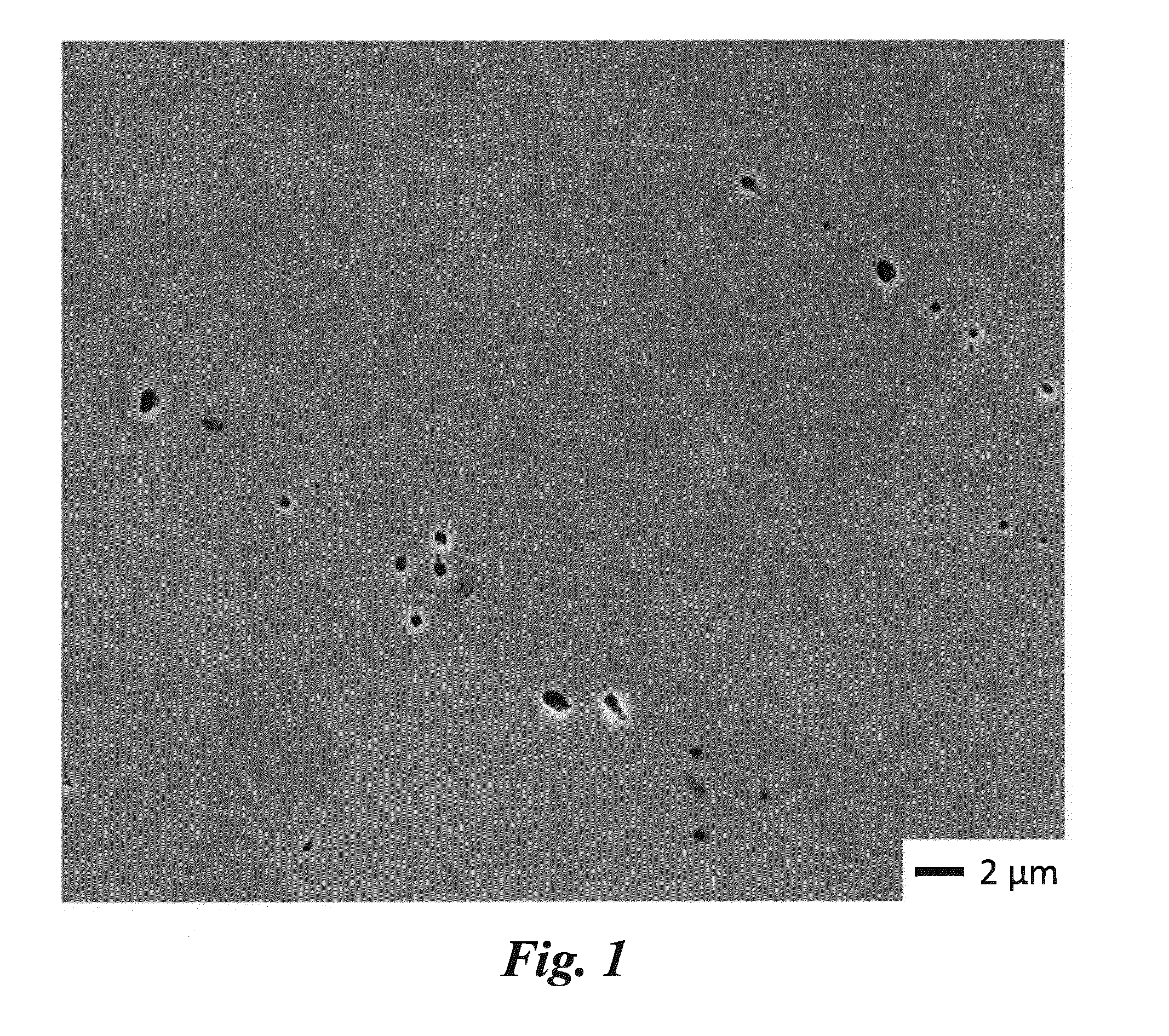 Article comprising silicon nanowires on a metal substrate