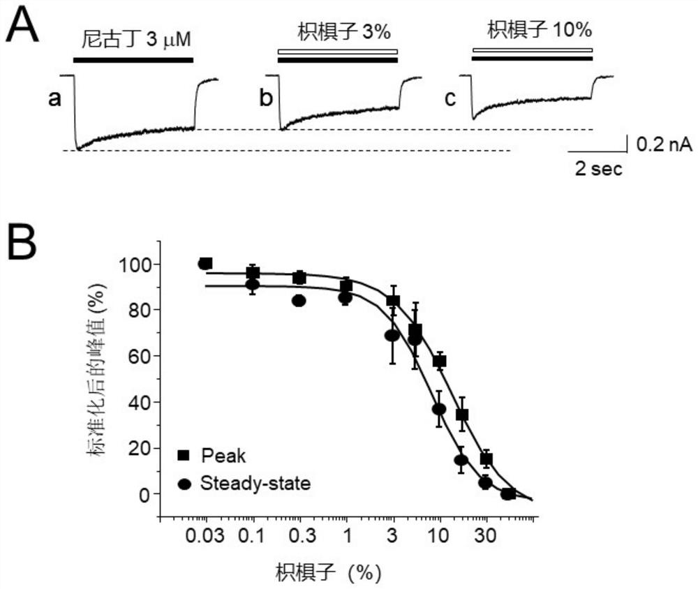 Traditional Chinese medicine extract composition capable of quitting smoking and reducing toxicity and application thereof