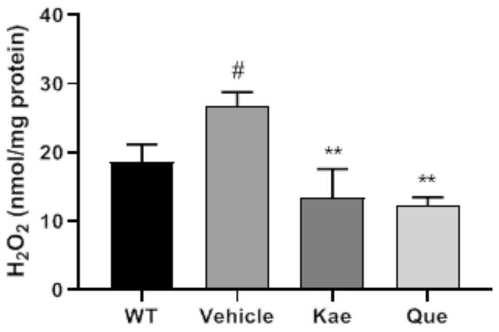 New application of quercetin and kaempferol