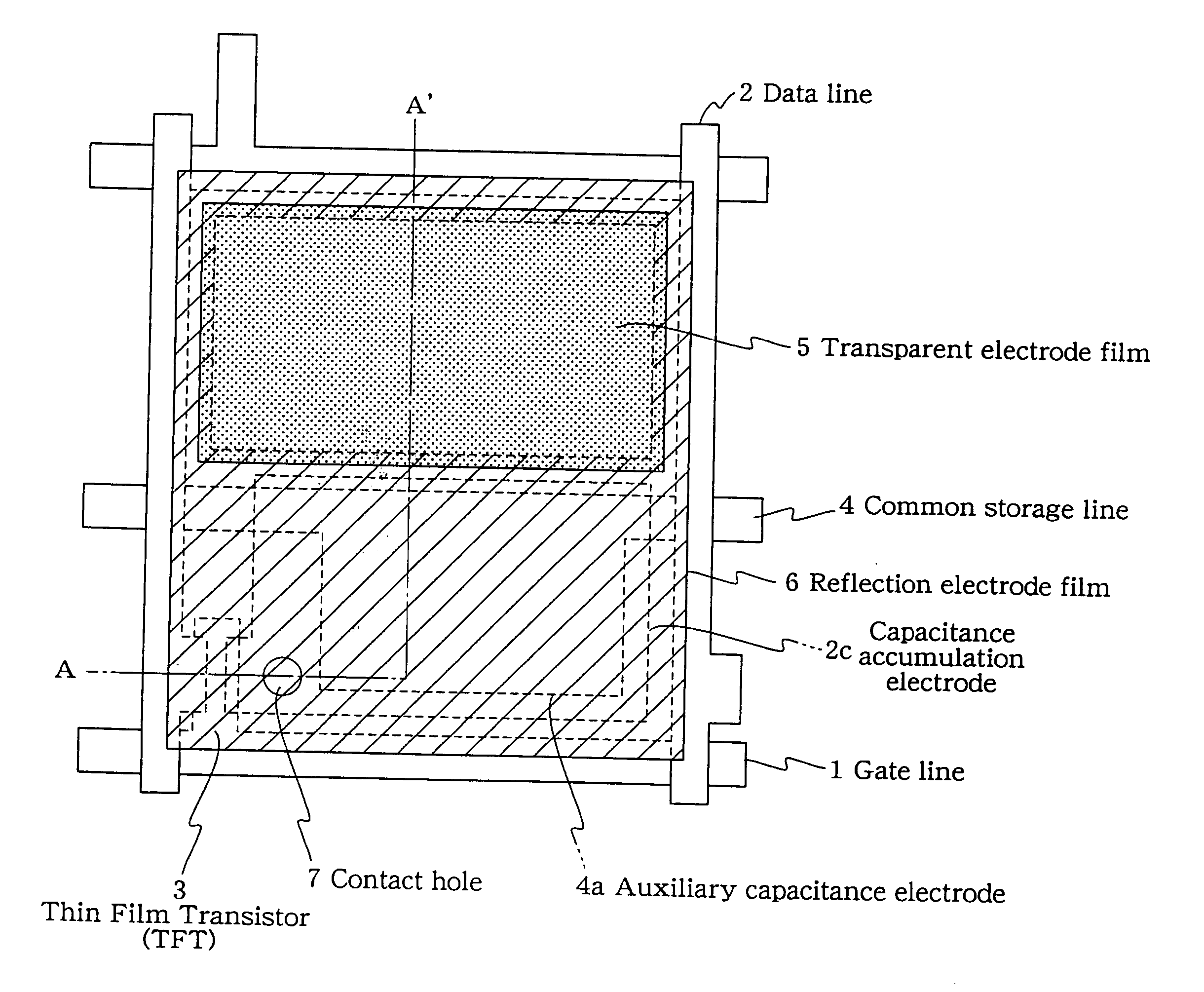 Transflective type LCD and method for manufacturing the same