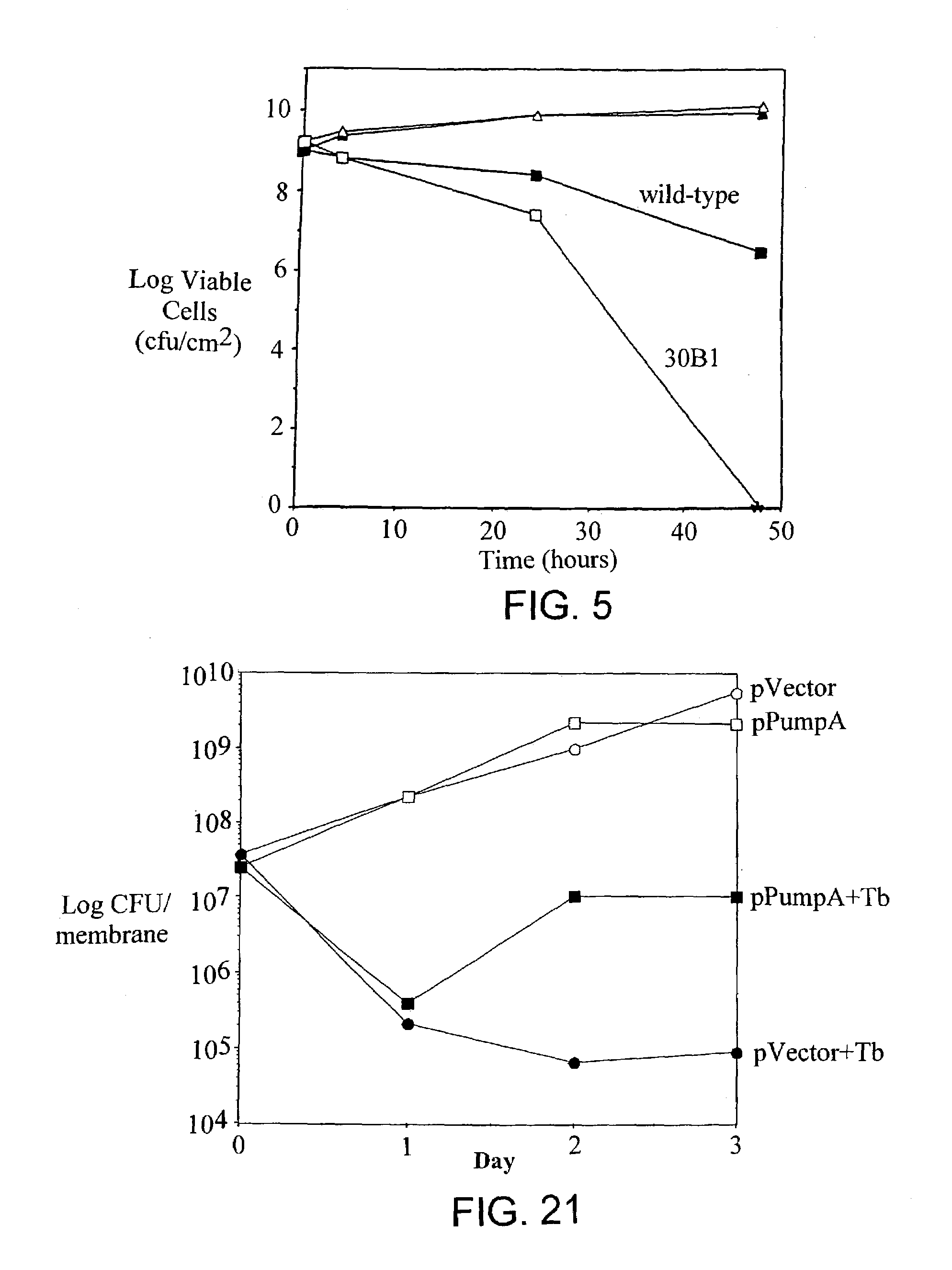 Bacterial glycosyltransferase polypeptides involved in antibiotic resistance