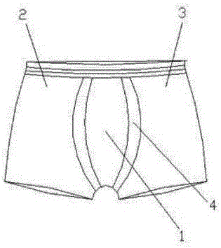 Underpant with massage function