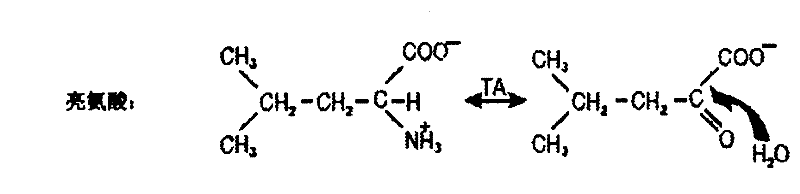 Compositions and methods of treatment using modulators of motoneuron diseases