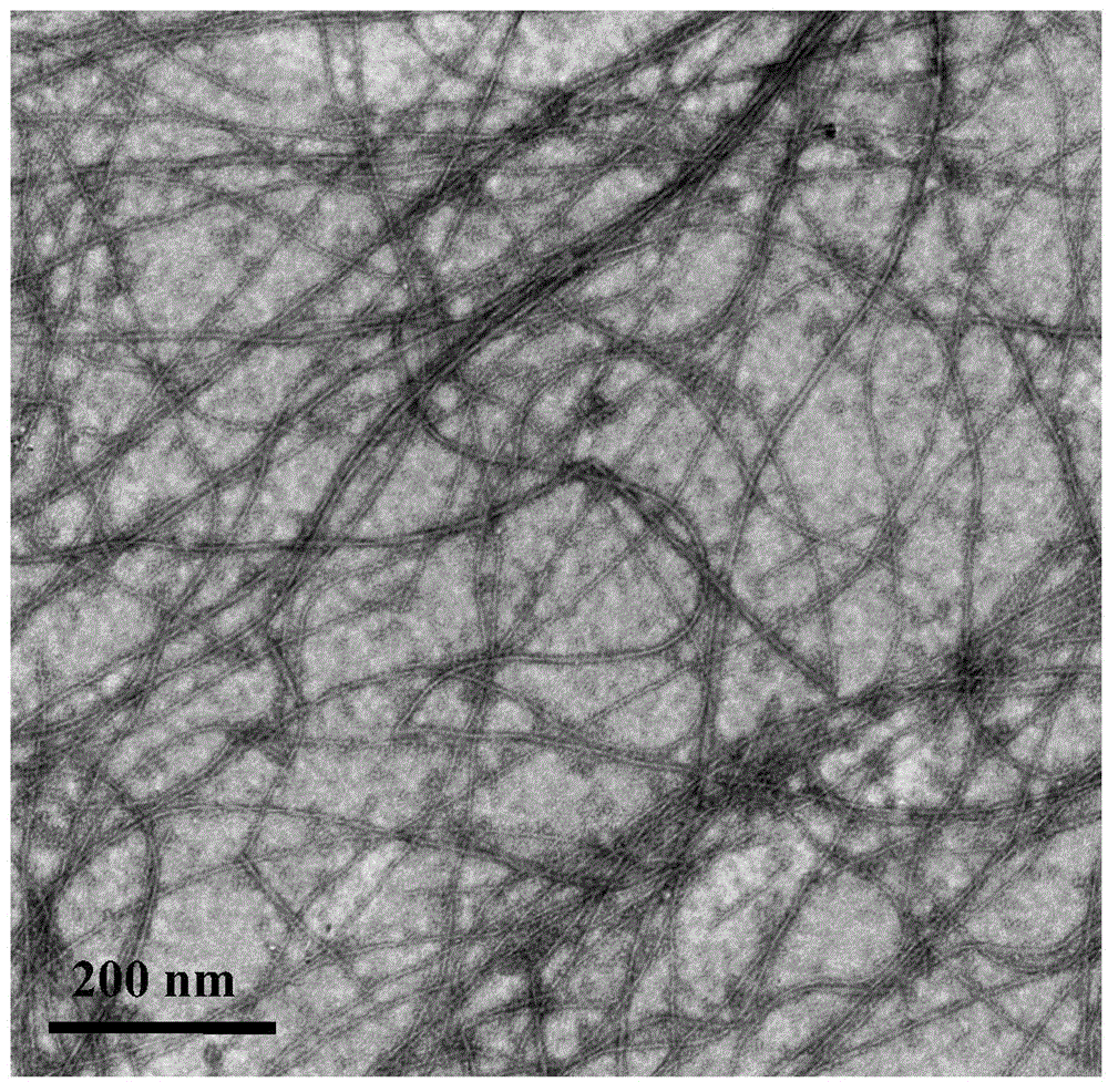 High-activity spiral Pt-Rh alloy nanocatalyst and preparation method thereof