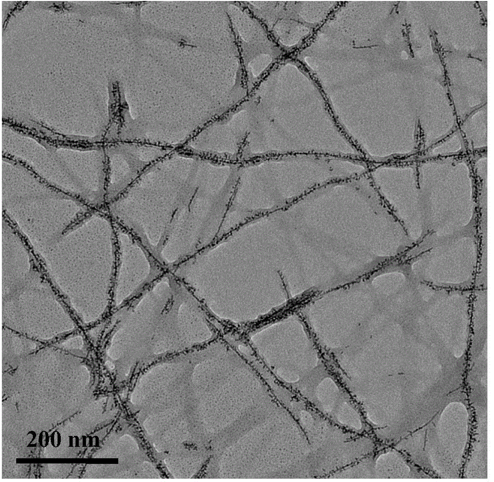 High-activity spiral Pt-Rh alloy nanocatalyst and preparation method thereof