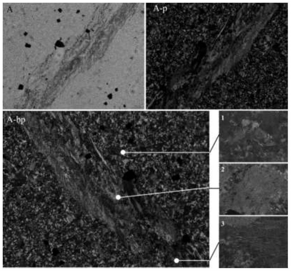 Method for identifying mineral drugs based on polarized light microscopy technology