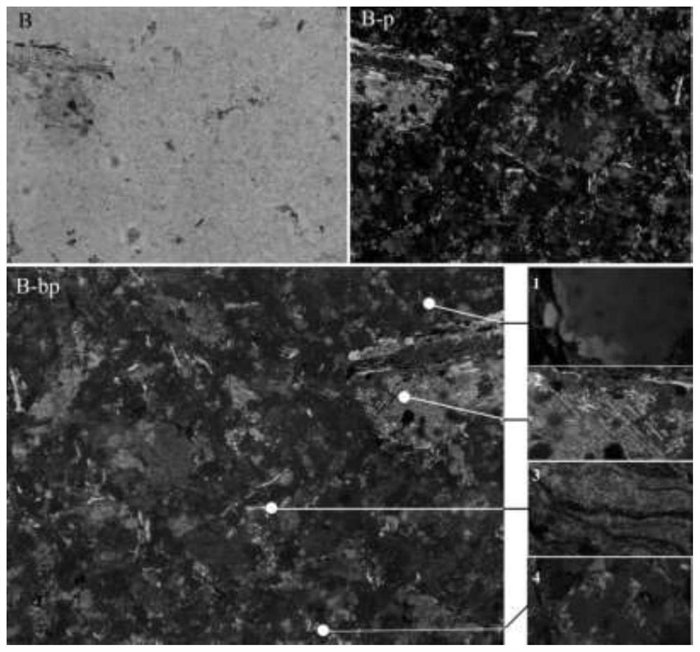 Method for identifying mineral drugs based on polarized light microscopy technology