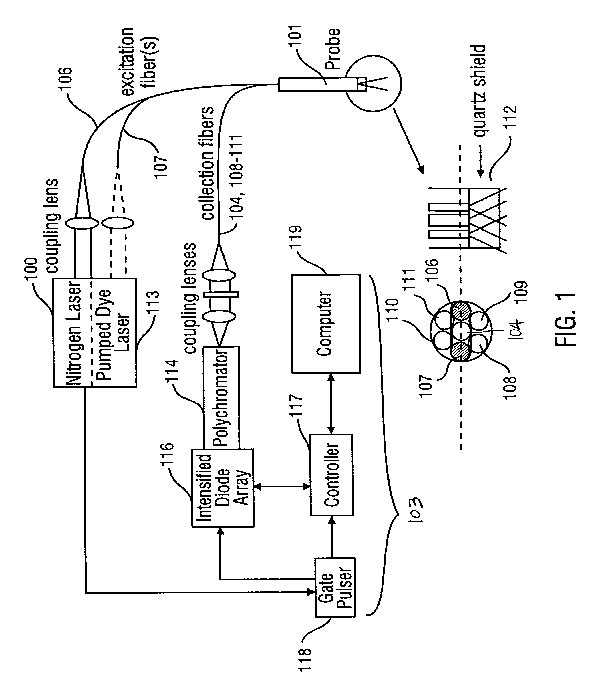 Method for probabilistically classifying tissue in vitro and in vivo using fluorescence spectroscopy