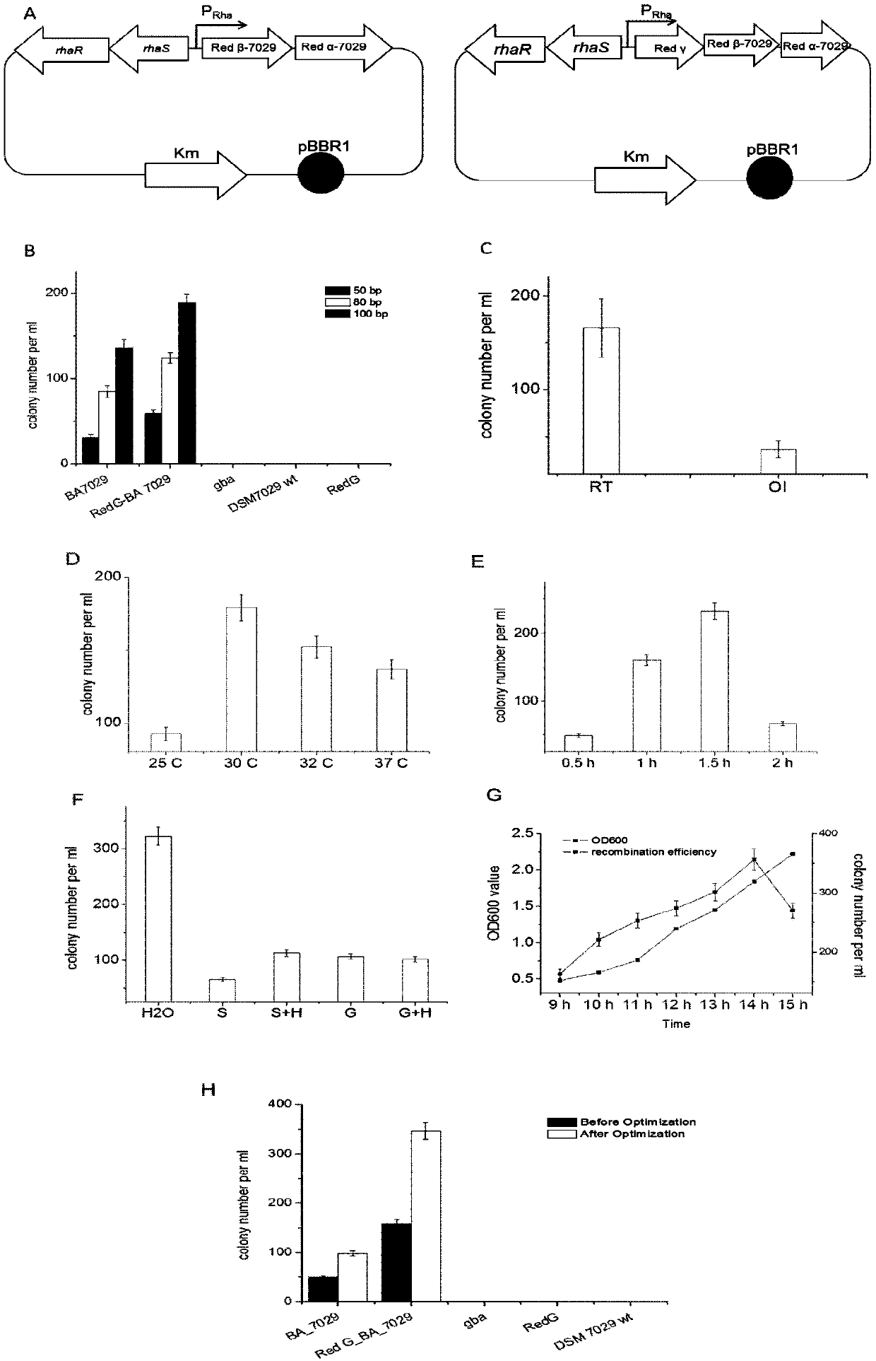 A group of homologous recombinases, expression vector and applications thereof