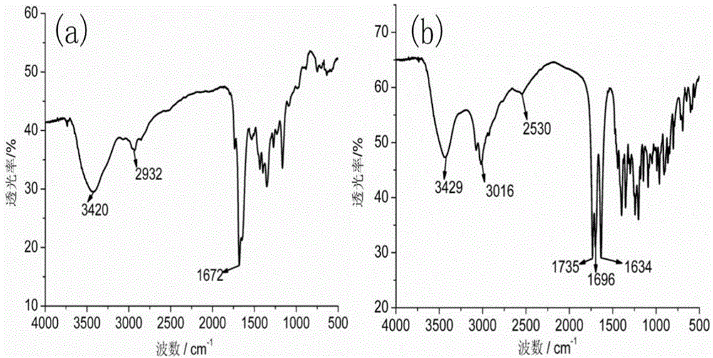 Dual functionalized nanometer material, preparation method and uses thereof