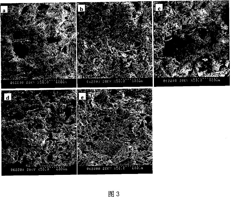 Composite material for repairing bone defect