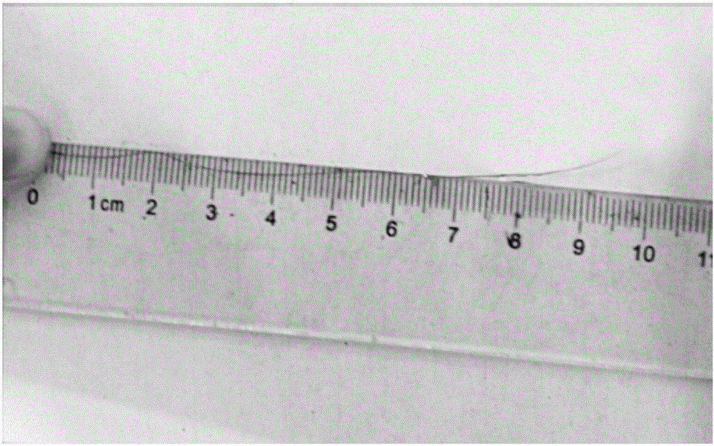 Method of utilizing acidizing method to treat carbon nano tube to prepare carbon nano tube fiber