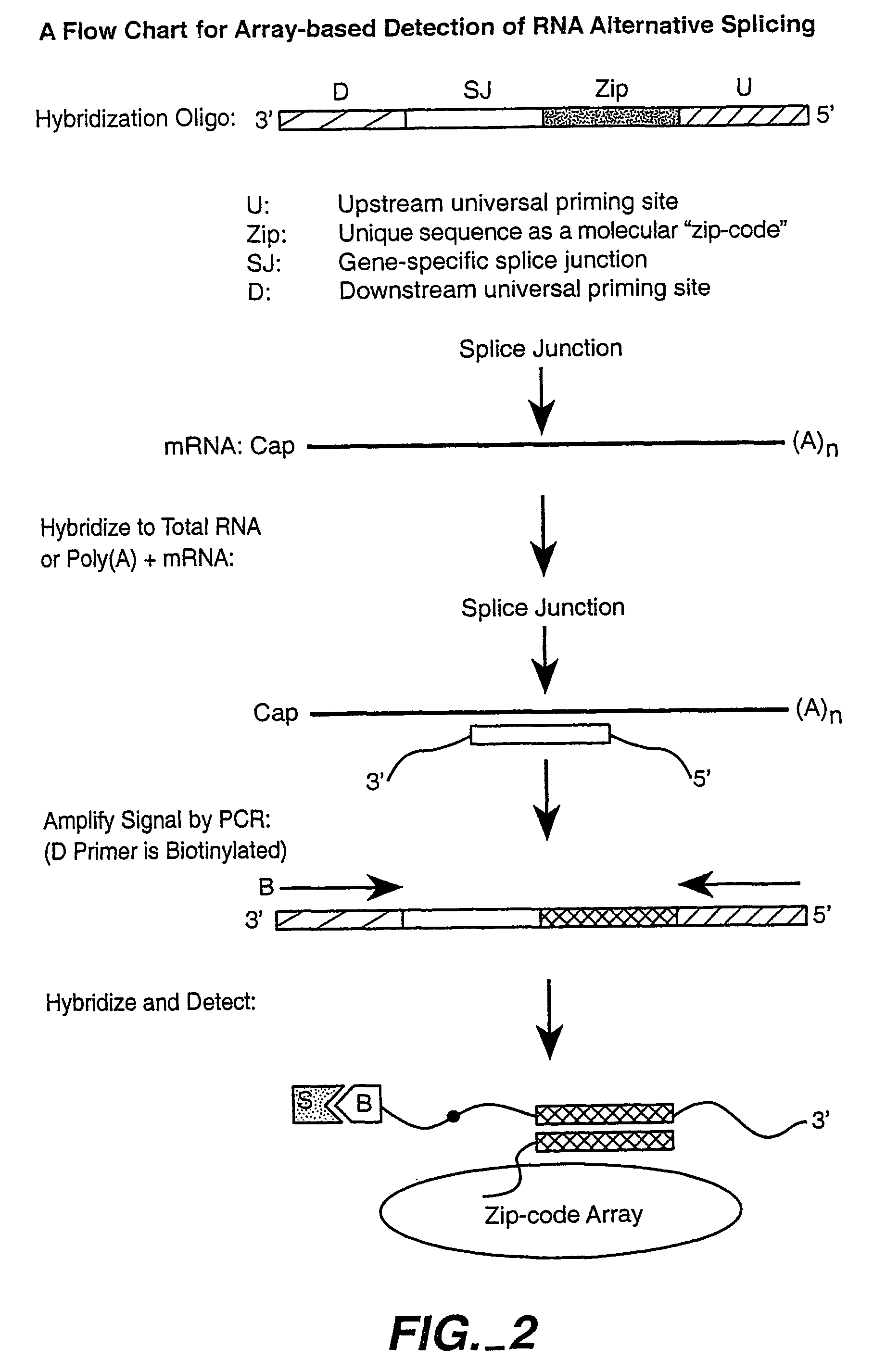 Multiplexed methylation detection methods