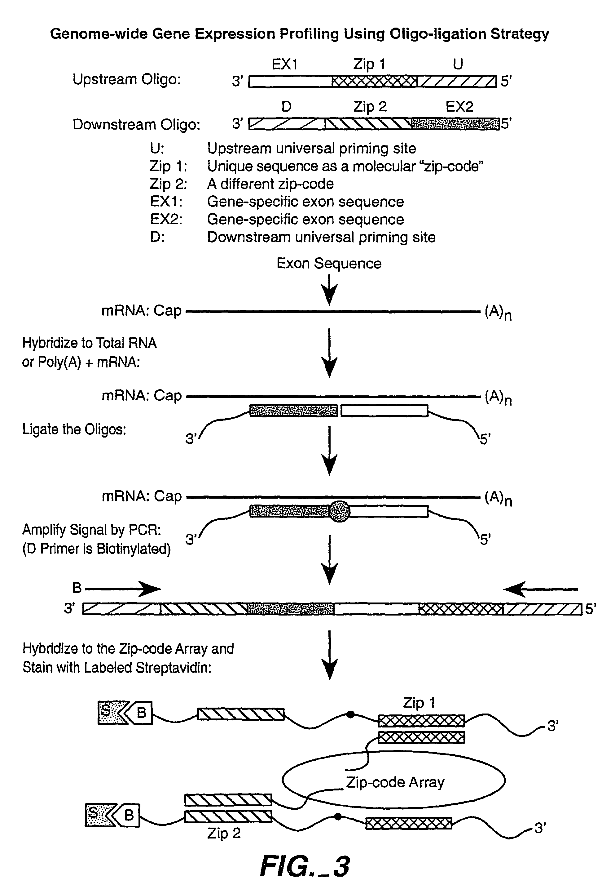 Multiplexed methylation detection methods