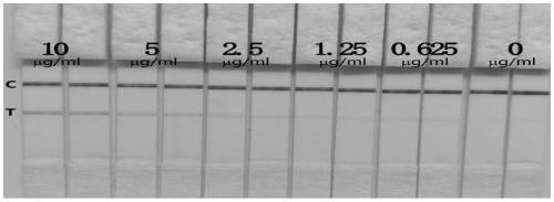 Hybridoma cells capable of secreting substances resisting PEDV (porcine epidemic diarrhea virus) monoclonal antibodies, monoclonal antibody and application