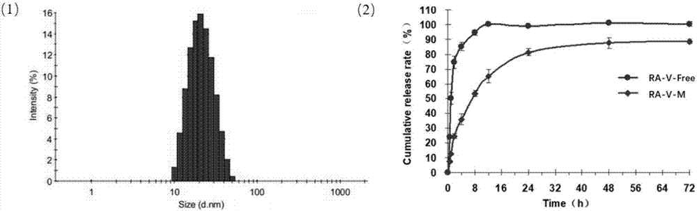 Cell autophagy inhibitor, preparation method thereof and application