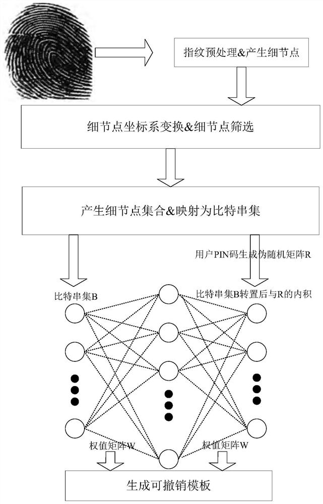 Design method based on fingerprint feature revocable template protection technology