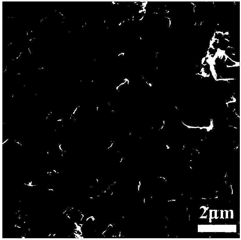 Three-dimensional nitrogen-sulfur-co-doped porous carbon material as well as preparation method and application thereof