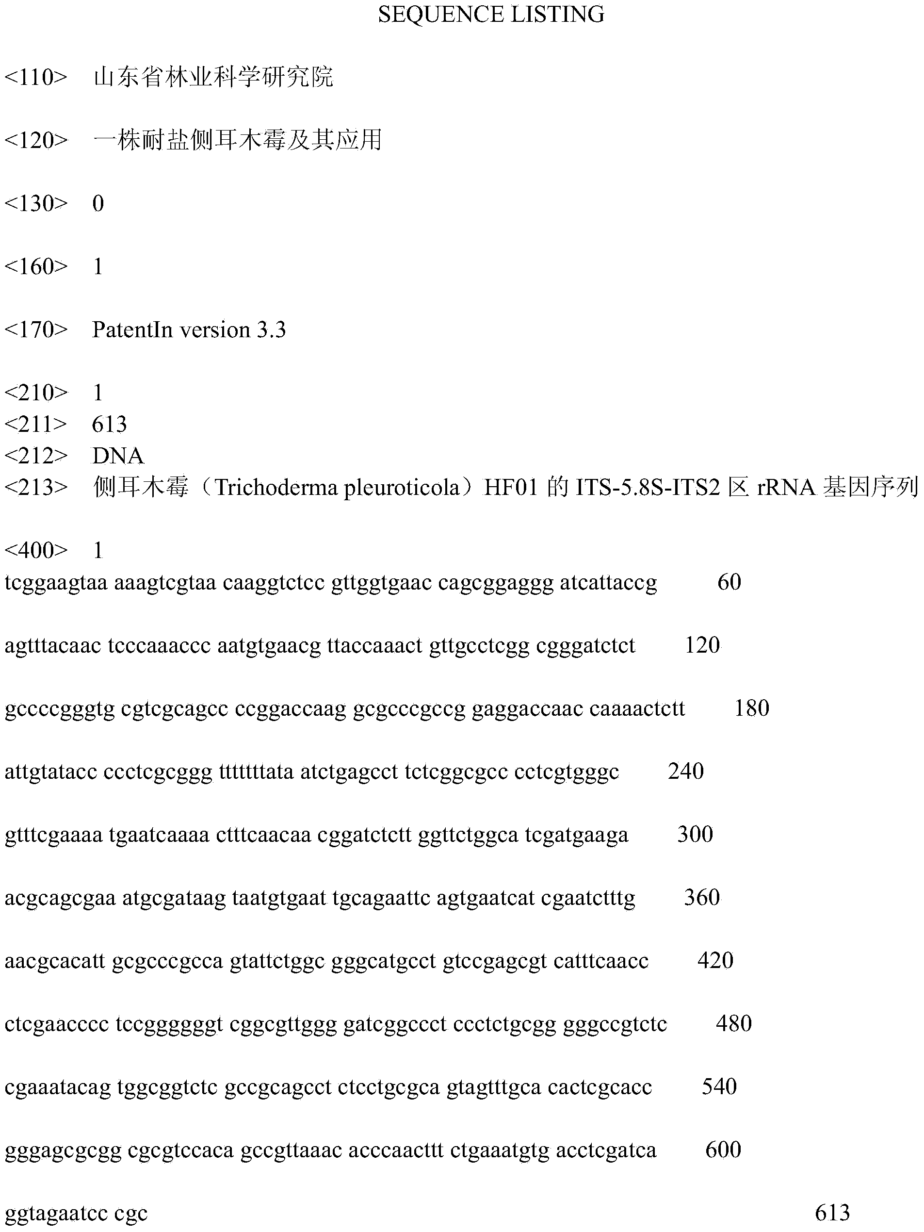 Salt-tolerant trichoderma pleuroticola strain and application thereof