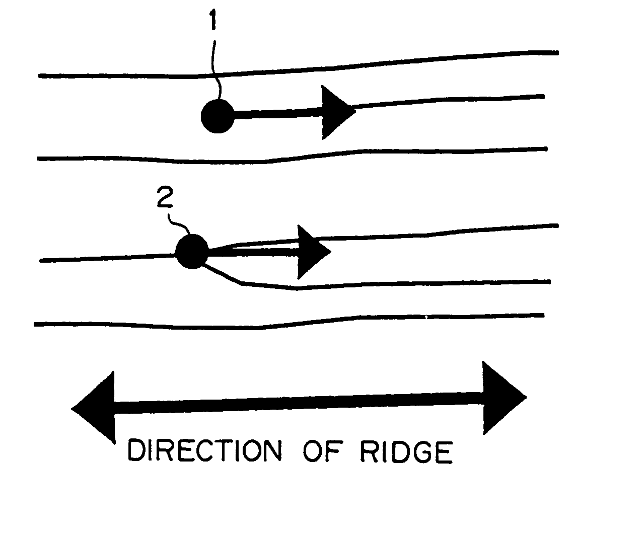 Apparatus and method for matching fingerprint