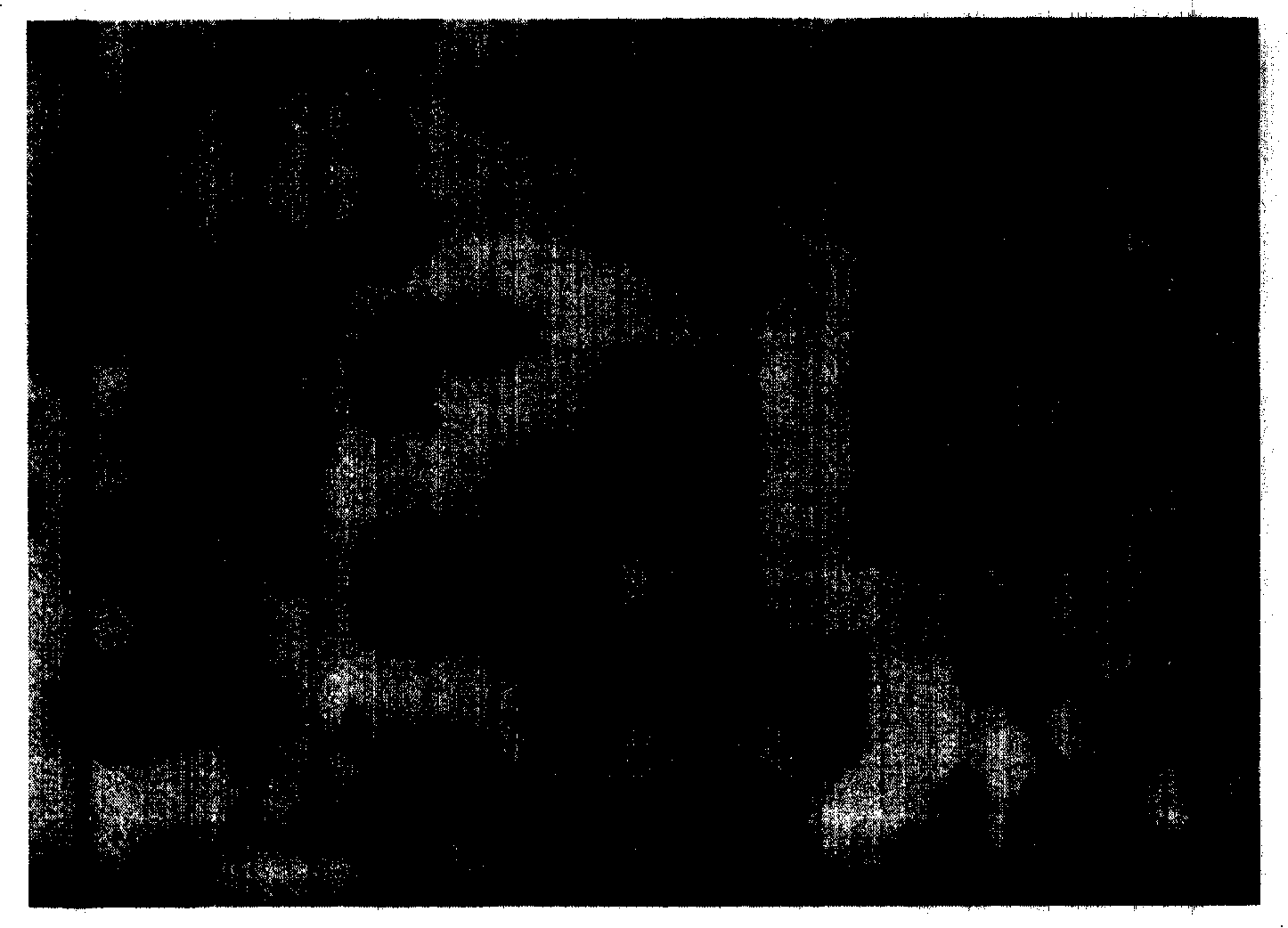 Method for preparing cross-linking polymer clew with bimodal distribution grain diameter