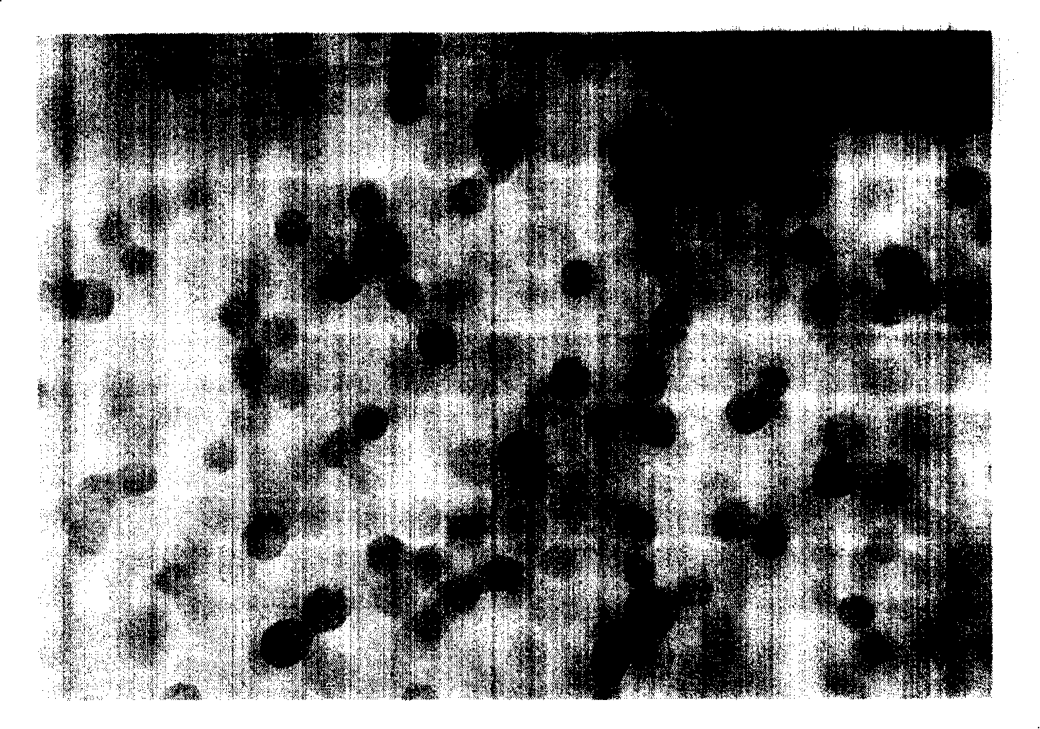 Method for preparing cross-linking polymer clew with bimodal distribution grain diameter