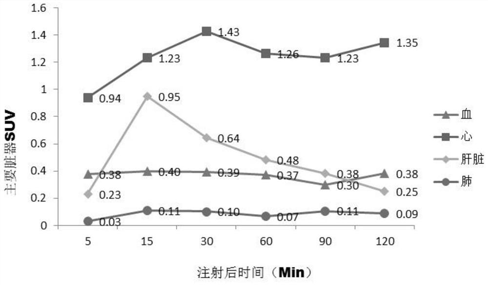 Novel berberine derivative as well as synthesis method and application thereof