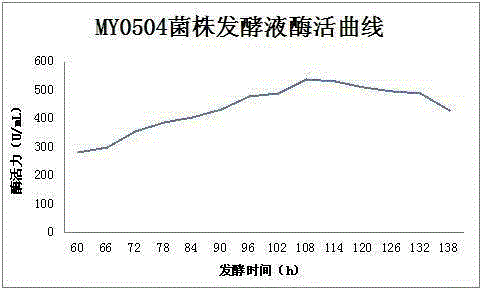 Ocean actinomycetes strain producing plasmin, application and plasmin prepared from same and application of plasmin