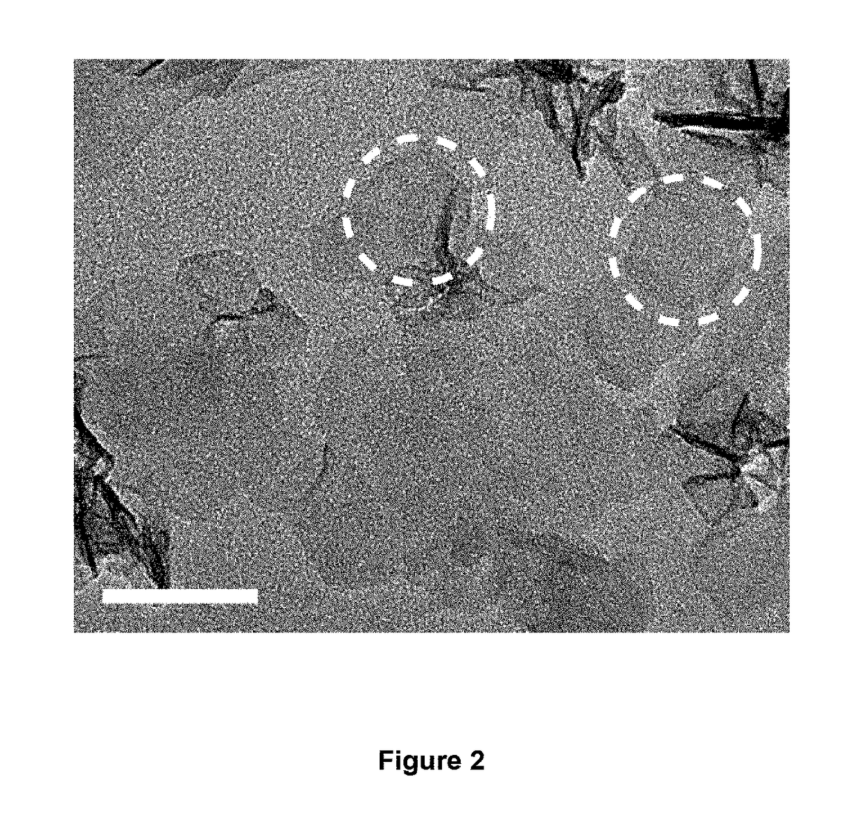 MnO2 ANODE FOR LI-ION AND NA-ION BATTERIES