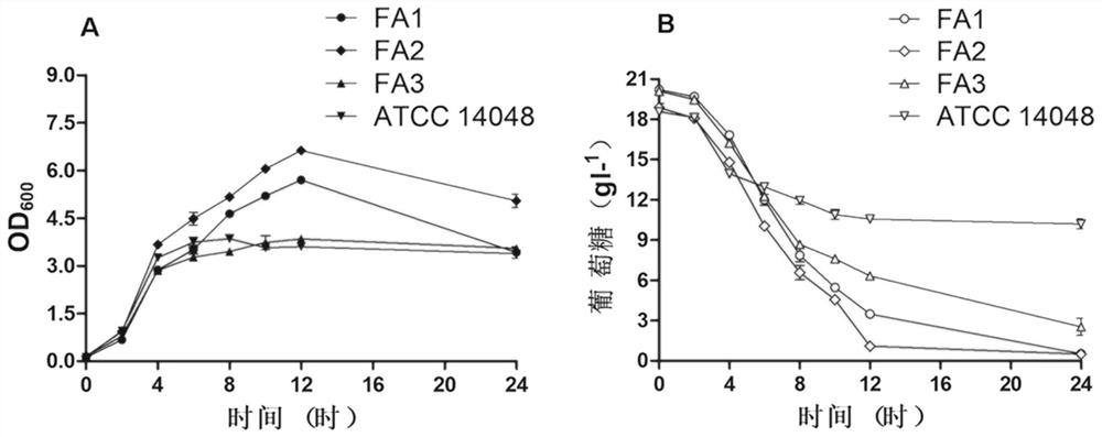 A kind of fast-growing vibrio and its application