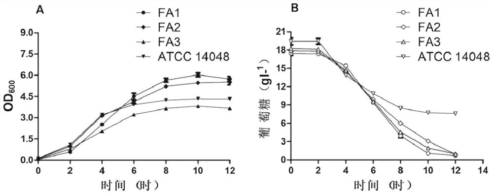 A kind of fast-growing vibrio and its application