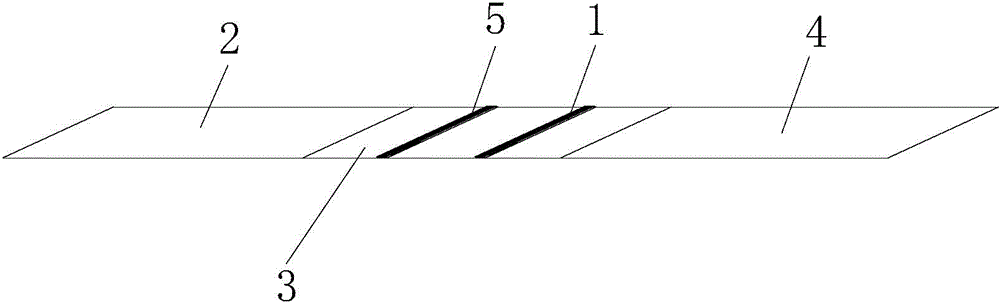 HCG (human chorionic gonadotropin) colloidal gold immunoassay lateral chromatographic test strip and detection method thereof