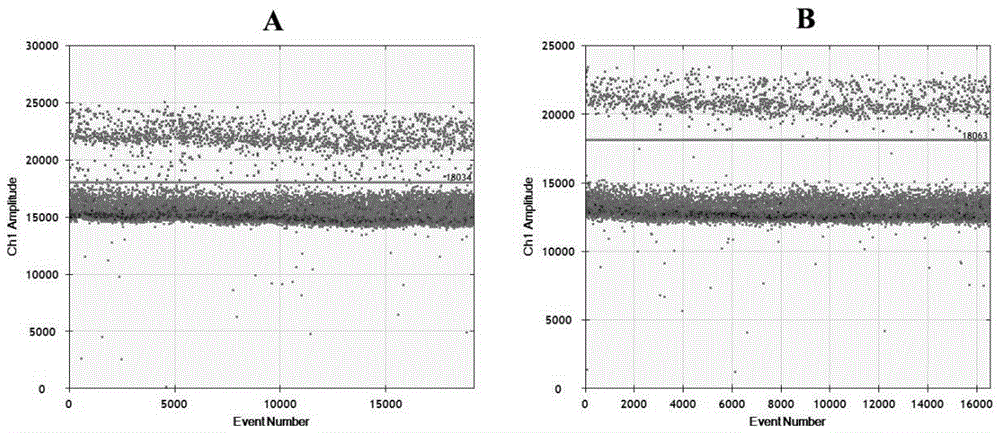 MiRNA-122 detection kit based on digital PCR platform and application thereof