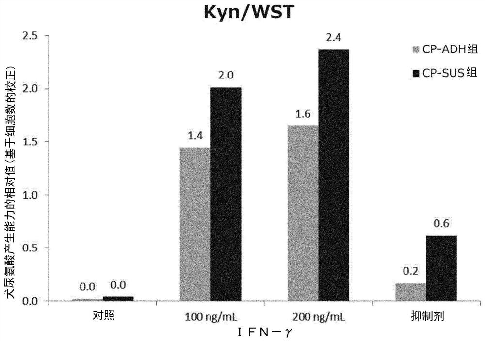 Mesenchymal stem cell, therapeutic agent for immune disease, and Anti-inflammatory agent