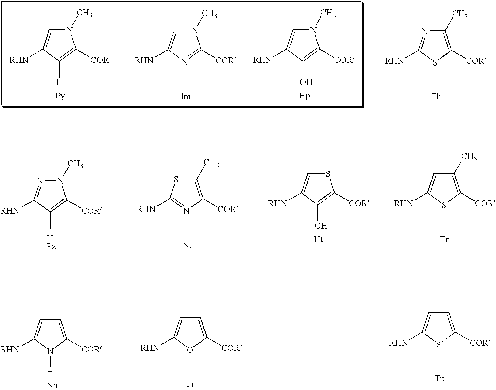 DNA-binding polymers